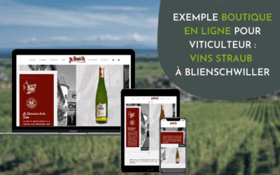Exemple boutique en ligne pour viticulteur : Vins Straub à Blienschwiller