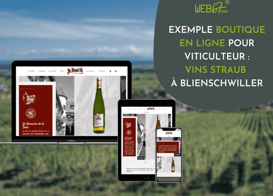 Exemple boutique en ligne pour viticulteur : Vins Straub à Blienschwiller