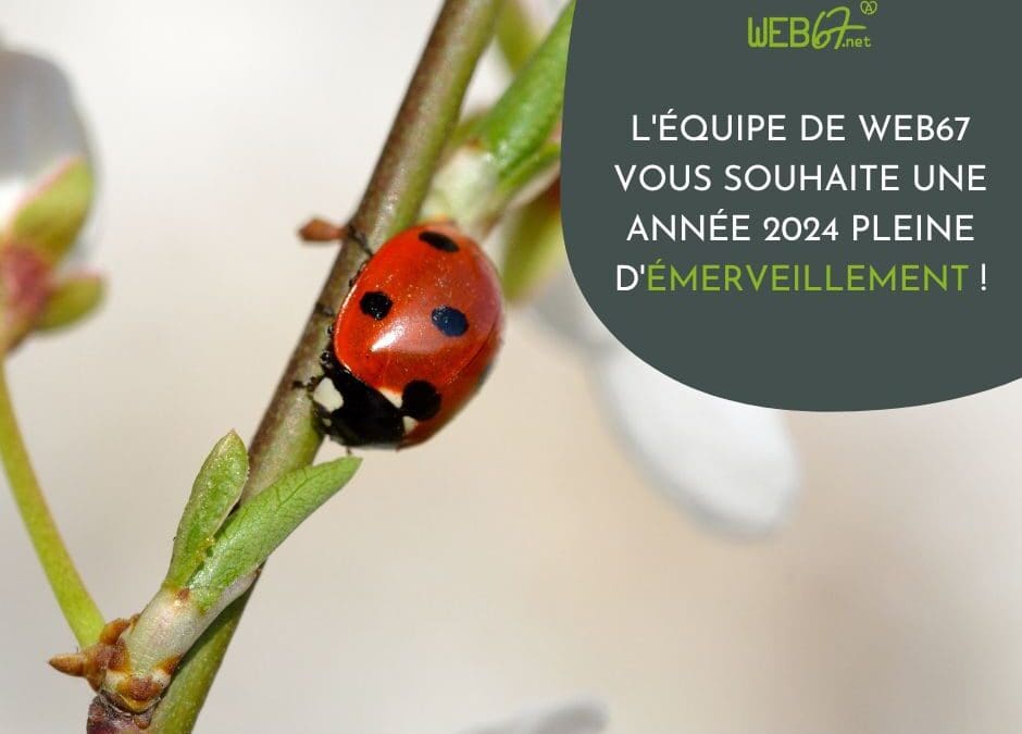 Bonne année 2024 !🎇