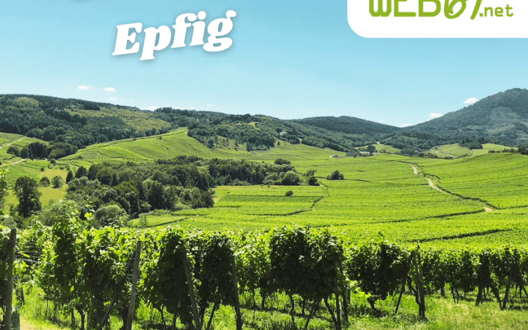Viticulteur à Epfig : fiers de votre site web ou caché sous le tapis ?